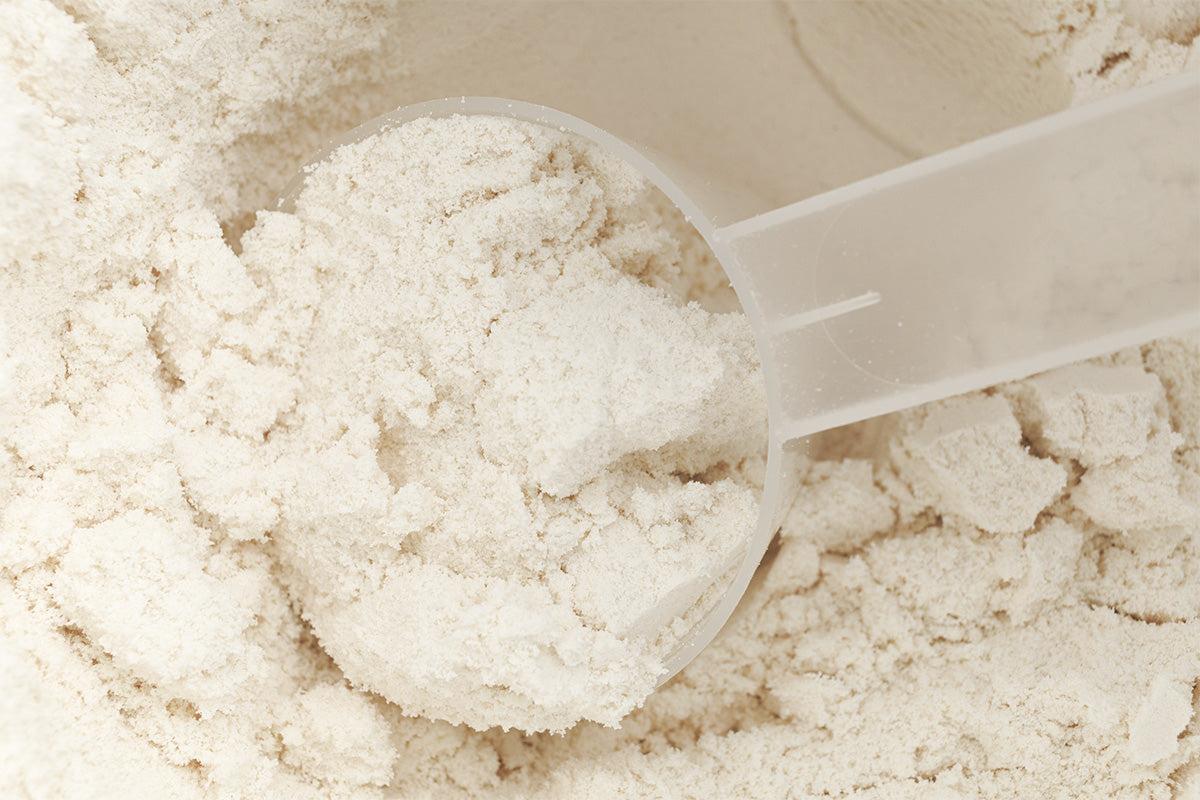 Buck Feed Isolate Protein — Original